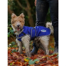 Weaterbeeta ComFiTec Premier Gratis Parka Deluxe Dog Coat Medium