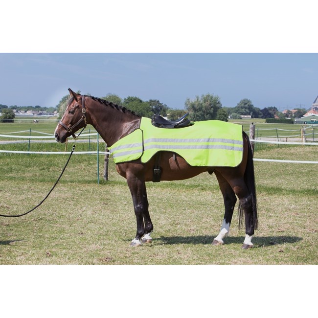 Harry\'s Horse Ridmatta med reflex