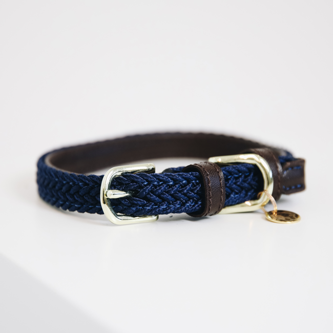 Hundhalsband i Kentucky Nylon