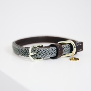 Hundhalsband i Kentucky Nylon