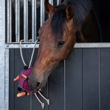 QHP Horse Toy Ball 