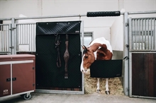 Kentucky Stable Guard