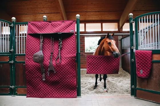 Kentucky Stable Guard