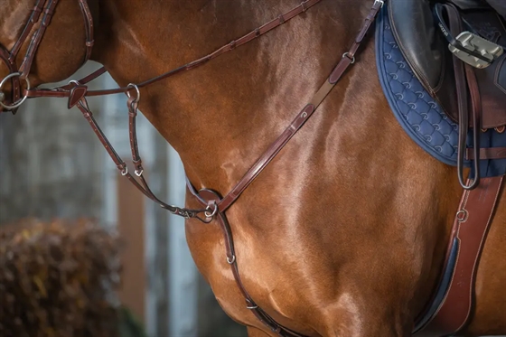 Dyon korta martingale silverspännen