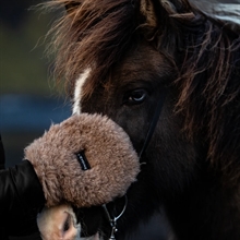 L'Evoine Alpaca Care-handske 