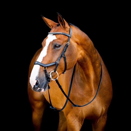 Horseware Micklem 2 Diamant Tävlingsträns